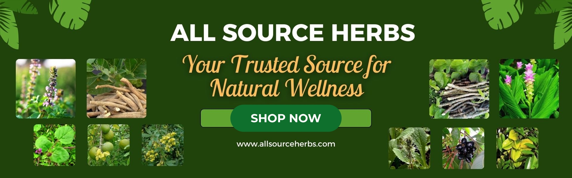 allsource-slider